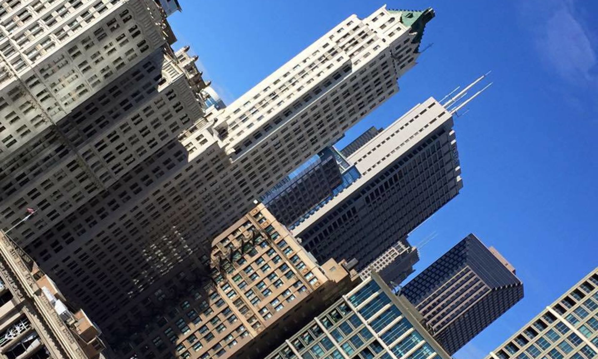 chicago chick